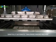110KW Pulp Molding Tableware Machine Powerful Paper Tray Machine