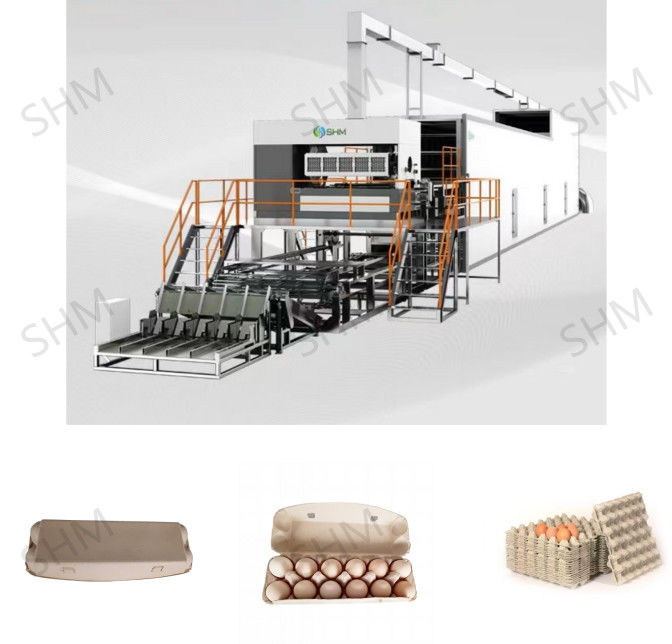 Waste Paper Egg Tray Production Line Machine Fully Automatic For Industrial
