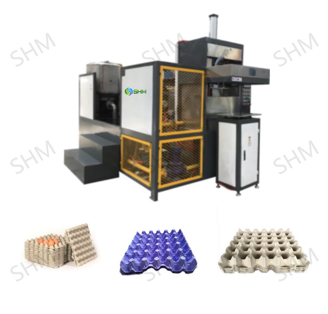 Industrial Egg Carton Making Machine Powerful Paper Egg Tray Manufacturing