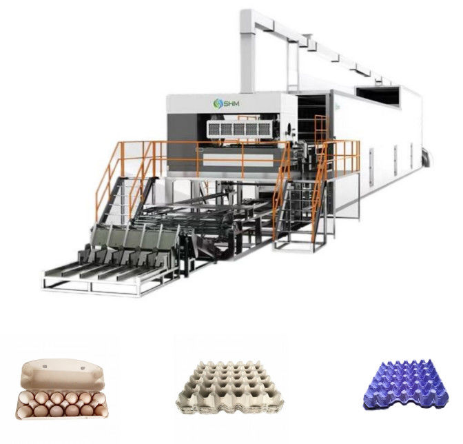 Paper Pulp Fruit Tray Making Machine Production Line With Automatic Cleaning System