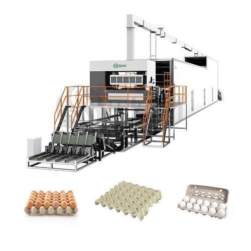 High Speed Automatic Egg Tray Making Machine (5000 pcs/hour) — Paper Pulp Production Line